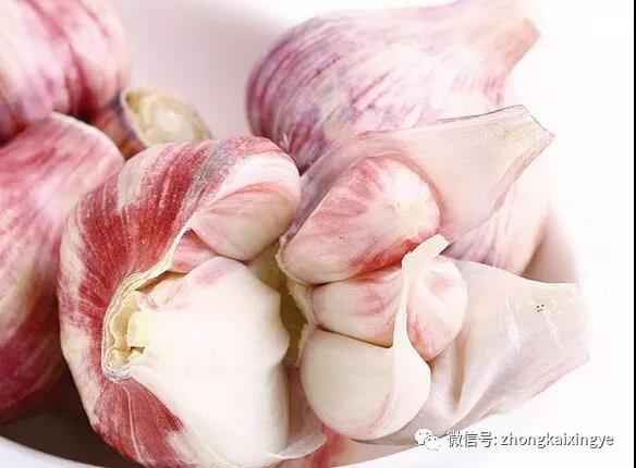 微信图片_20180615173225.jpg